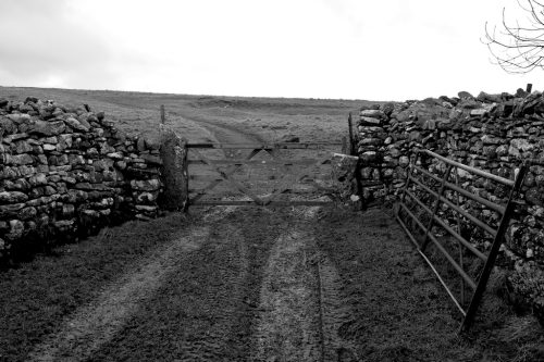 Gate at Scarside
