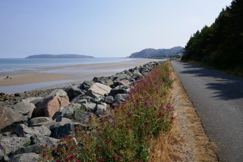A pile of rocks between a narrow tarmac path and the sea. Purple flowers beside the path, and a rocky headland is in the distance.