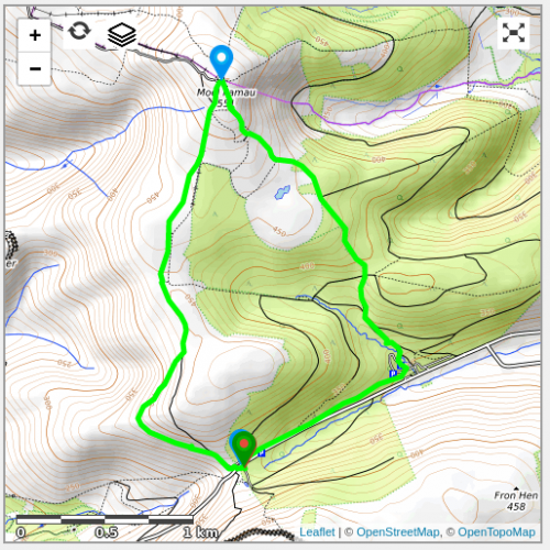 A screenshot showing a map with a walking route marked in green.