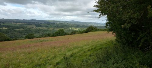 A view of the Clwydian hills over fields and trees.